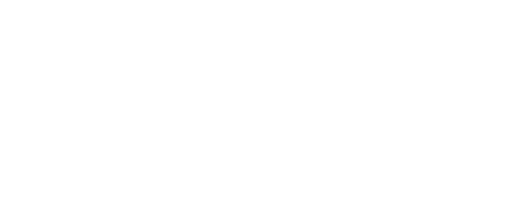 raster-logo-w